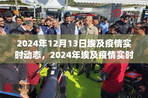 2024年埃及疫情實時動態(tài)關注指南，入門到進階全方位解讀