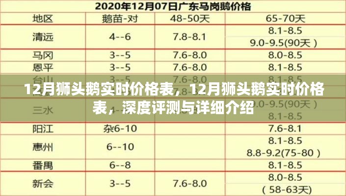 最新12月獅頭鵝實時價格表及深度評測與詳細(xì)介紹