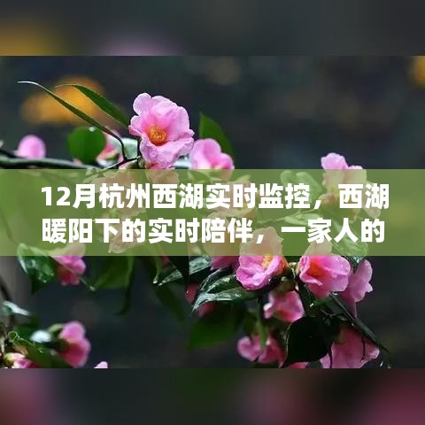 西湖暖陽下的溫馨時(shí)光，家庭實(shí)時(shí)陪伴與監(jiān)控記錄