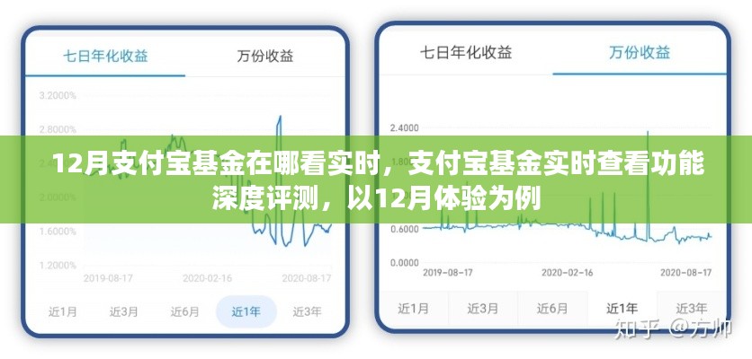 支付寶基金實(shí)時(shí)查看功能深度評(píng)測(cè)，以12月體驗(yàn)為例，實(shí)時(shí)掌握基金動(dòng)態(tài)