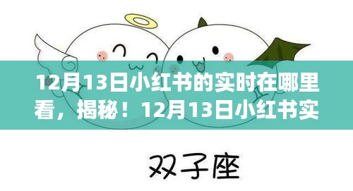 揭秘新功能，如何查看12月13日小紅書實時動態(tài)，科技魅力重塑生活體驗！