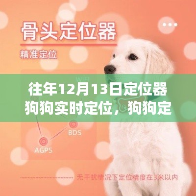 狗狗定位器的奇妙日，如何在變化中學(xué)習(xí)并自信閃耀