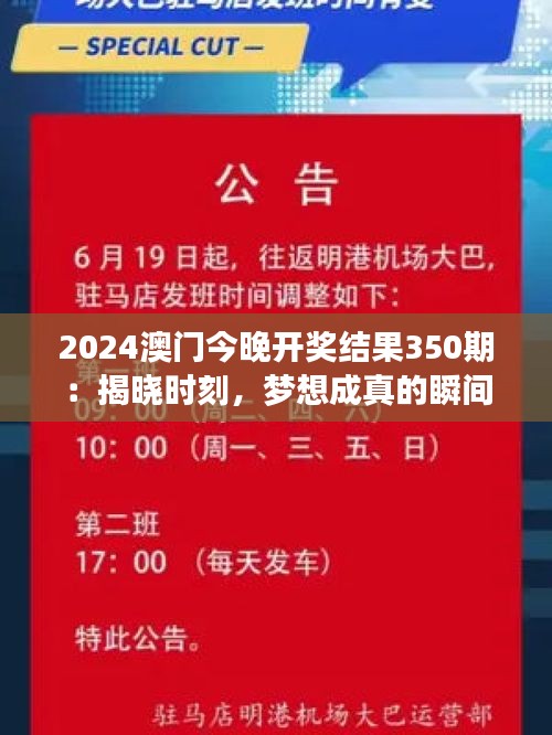 2024澳門今晚開獎結(jié)果350期：揭曉時刻，夢想成真的瞬間