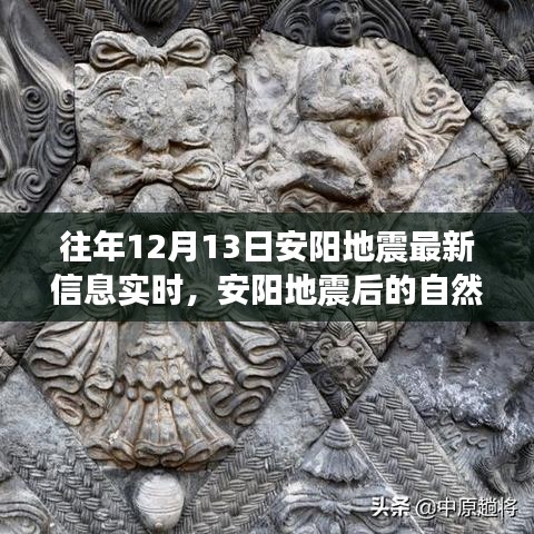 追尋內(nèi)心平靜的奇妙旅程，安陽(yáng)地震后的自然探索與實(shí)時(shí)信息解讀