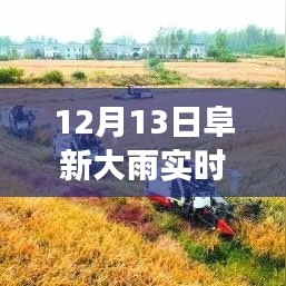 阜新市12月13日大雨事件，實(shí)時(shí)播報(bào)與觀點(diǎn)探析及立場(chǎng)闡述