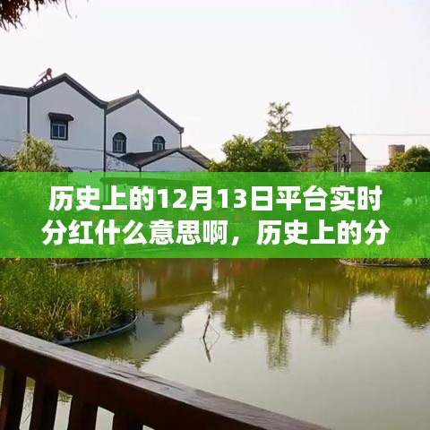 歷史上的分紅策略解析，實時分紅的概念與操作指南