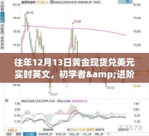 往年12月13日黃金現(xiàn)貨兌美元實時交易指南，初學(xué)者與進階用戶必備指南及交易技巧全解析