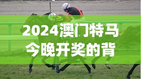 2024澳門特馬今晚開獎的背景故事：今晚開獎如何反映澳門賽馬的社會影響