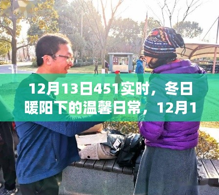 冬日暖陽(yáng)下的溫馨日常，12月13日451實(shí)時(shí)趣事分享