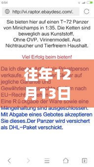 歷年12月13日德語(yǔ)外教實(shí)時(shí)翻譯體驗(yàn)，跨文化交流的獨(dú)特魅力