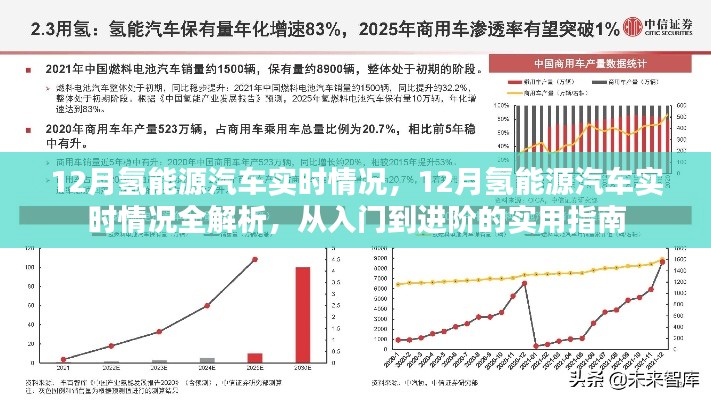 實(shí)用指南，12月氫能源汽車(chē)實(shí)時(shí)情況全解析——從新手到專(zhuān)家的進(jìn)階之路