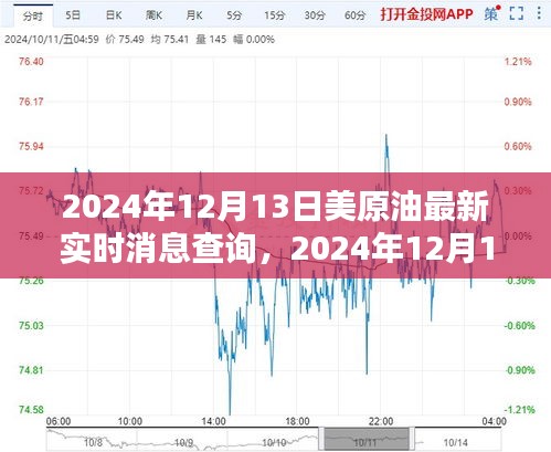 2024年12月13日美原油實(shí)時(shí)消息查詢(xún)指南