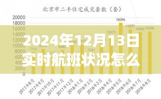 輕松科普，如何查看與分析2024年12月13日實(shí)時(shí)航班狀況解讀航班動態(tài)信息指南