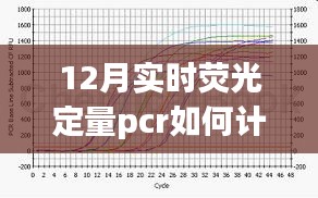 掌握實(shí)時(shí)熒光定量PCR計(jì)算技巧，開(kāi)啟科研之旅的新篇章