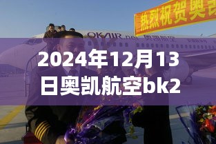 奧凱航空BK2821航班實(shí)時(shí)動(dòng)態(tài)查詢指南，初學(xué)者快速掌握指南（日期，2024年12月13日）