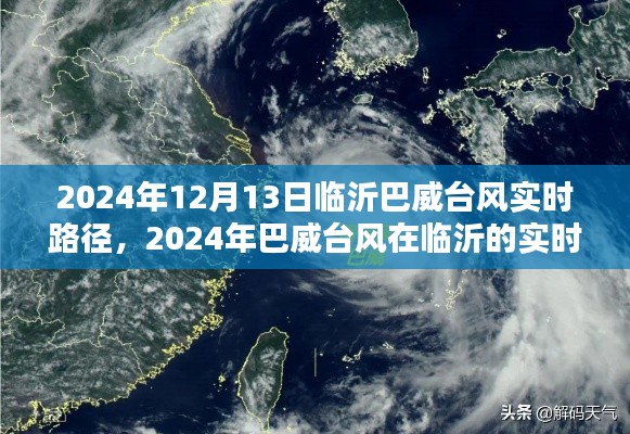 巴威臺風(fēng)實(shí)時(shí)路徑追蹤深度分析，臨沂地區(qū)臺風(fēng)動態(tài)與影響