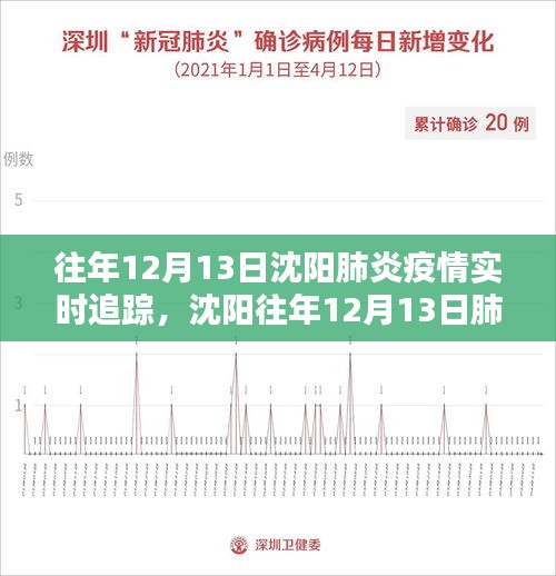 沈陽(yáng)往年12月13日肺炎疫情實(shí)時(shí)追蹤深度分析與個(gè)人觀點(diǎn)分享