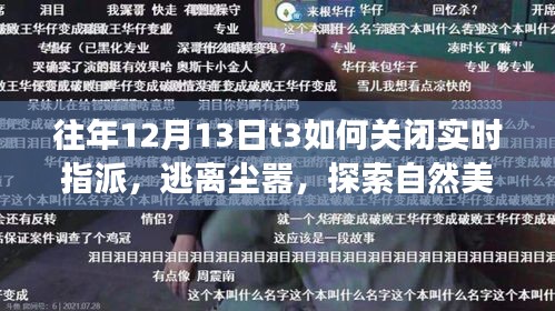 往年12月13日T3關(guān)閉實時指派，心靈之旅，逃離塵囂探索自然美景之道