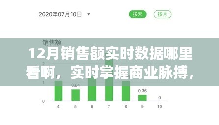 實(shí)時(shí)掌握商業(yè)脈搏，12月銷售額數(shù)據(jù)平臺(tái)深度評(píng)測與實(shí)時(shí)數(shù)據(jù)查看指南