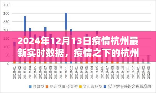 2024年12月13日杭州疫情實時數(shù)據(jù)解讀，疫情之下的杭州觀察