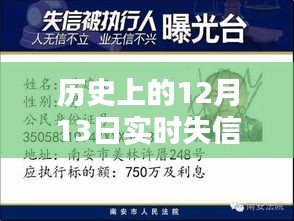 12月13日失信執(zhí)行人實時查詢指南，歷史查詢詳解與初學(xué)者指引