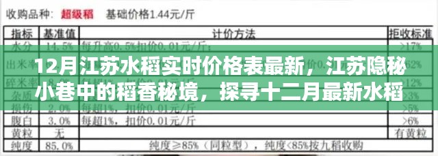 江蘇稻香秘境，十二月水稻實時價格與美食探尋之旅