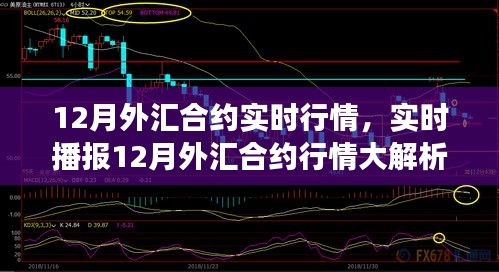 洞悉市場走勢，揭秘12月外匯合約實(shí)時(shí)行情與投資機(jī)遇