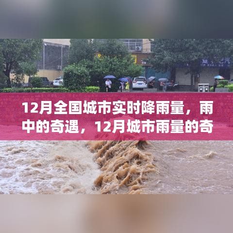 12月城市雨情，雨中奇遇與奇妙旅程的實時記錄