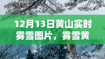 霧雪黃山，仙境再現(xiàn)，實時美景圖片分享