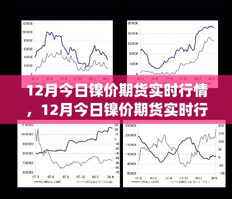 最新鎳價期貨行情分析與預(yù)測，市場走勢及實時報價