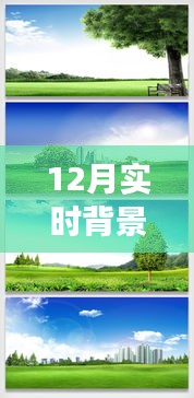 探索自然秘境，12月實(shí)時(shí)背景摳圖素材帶你踏上寧靜之旅