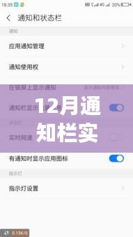 解決12月通知欄實(shí)時網(wǎng)速顯示無變化問題，實(shí)用指南及初學(xué)者進(jìn)階用戶必看攻略