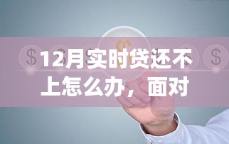 逆境中的逆襲之路，應(yīng)對12月實時貸還不上的困境與成長策略