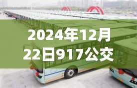 2024年12月22日917公交車(chē)實(shí)時(shí)消息及查詢(xún)?cè)敿?xì)步驟指南