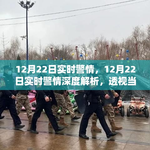 12月22日警情透視，實(shí)時(shí)治安動(dòng)態(tài)與深度影響解析