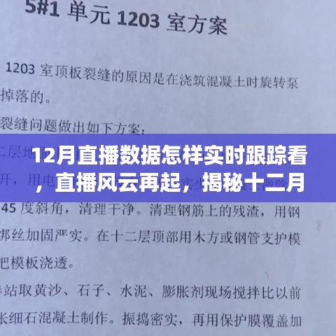 揭秘十二月直播風云，實時跟蹤數(shù)據(jù)之旅