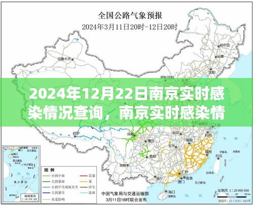 南京實時感染情況深度解析與觀點闡述，2024年12月22日最新數(shù)據(jù)報告