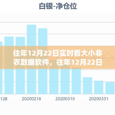 往年12月22日實時大小非農(nóng)數(shù)據(jù)軟件評測與介紹，全面洞悉數(shù)據(jù)動態(tài)，洞悉市場趨勢