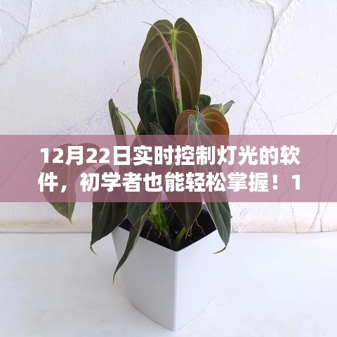 初學(xué)者也能輕松掌握的實(shí)時(shí)控制燈光軟件操作指南