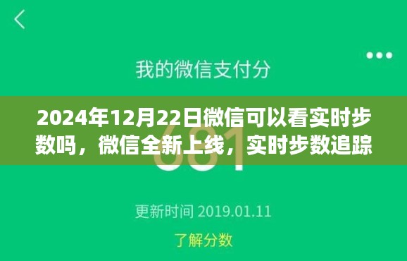 微信全新上線實時步數(shù)追蹤功能，感受科技與健康生活的融合（時間，2024年12月22日）