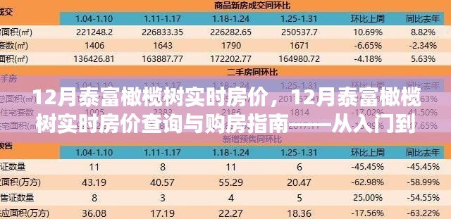 12月泰富橄欖樹實時房價詳解，購房指南與查詢攻略