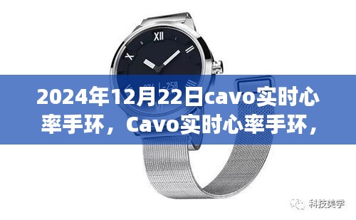 Cavo實時心率手環(huán)，2024年的健康守護之星