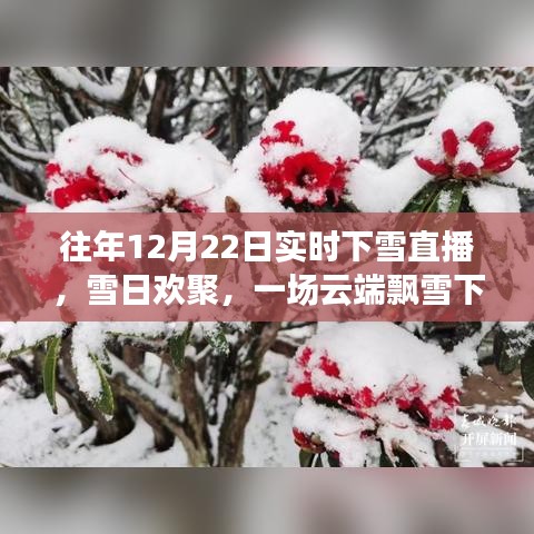 云端飄雪下的歡聚時光，12月22日實時下雪直播日常