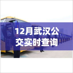 武漢公交326與自然美景之旅，寧靜與喜悅的探尋