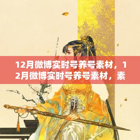 12月微博實時號養(yǎng)號素材運用與策略探討