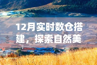 寧靜冬日里的探索之旅，實時數(shù)倉搭建與心靈的自然美景之旅