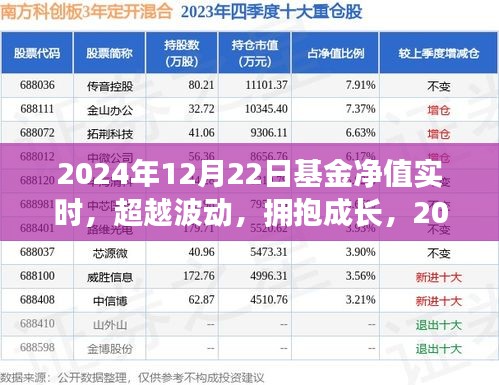 揭秘基金凈值背后的故事，超越波動，擁抱成長，探尋2024年12月22日基金凈值實時動態(tài)