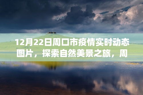 周口市疫情實時動態(tài)圖片，探索自然美景與微笑力量的寧靜角落之旅