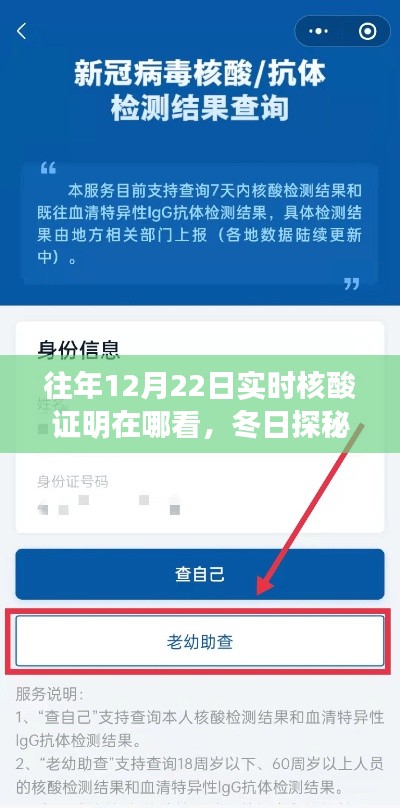 冬日探秘，尋找往年12月22日核酸證明的小故事與實(shí)時(shí)查詢攻略