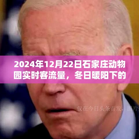 2024年12月27日 第19頁